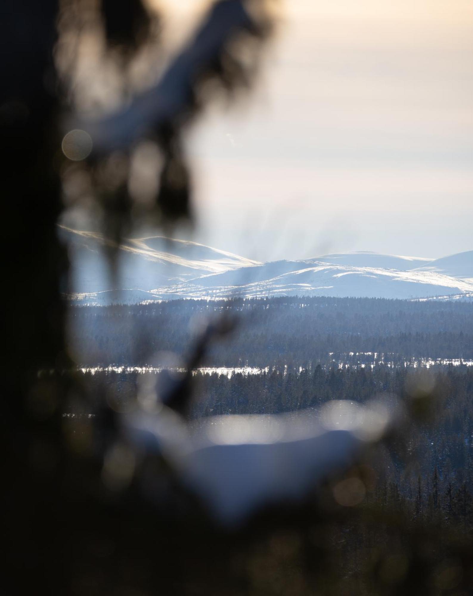 Taennaeskroeket Eksteriør bilde